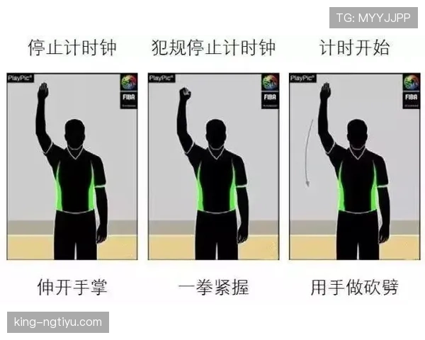 比赛暂停规则：裁判何时停止及如何恢复比赛